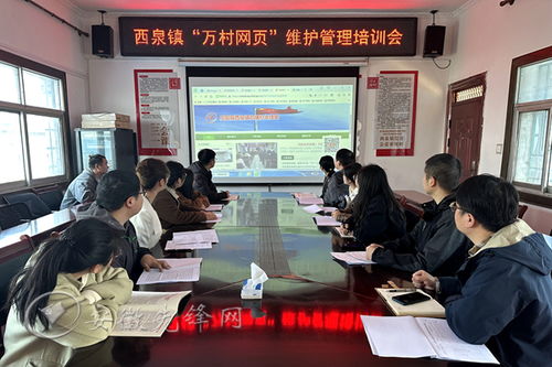凤阳县 三点发力 提升万村网页管理维护水平